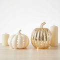 Halloween Neutral Pumpkin and Candle Bundle with LED Lights