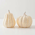 Matte White Porcelain LED Pumpkin and Squash Decoration Set