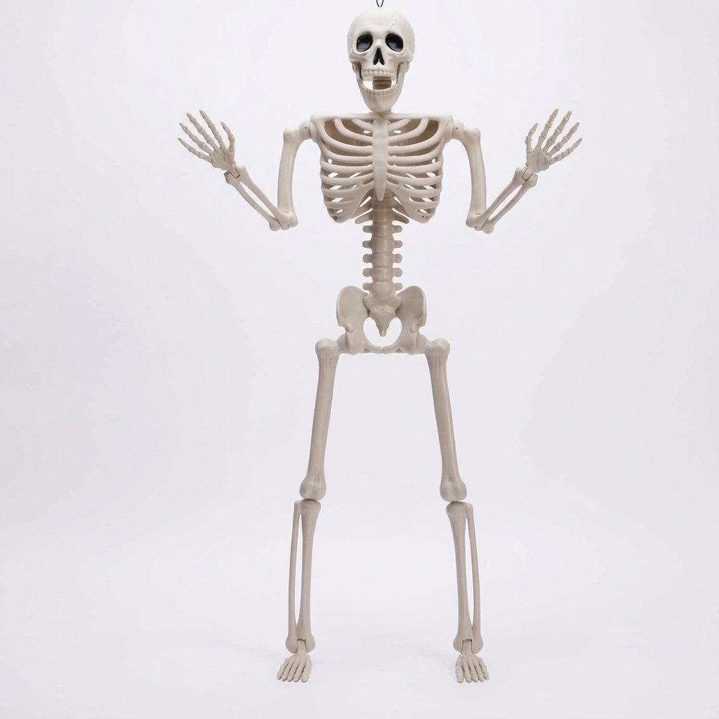 Posable Halloween Skeleton Decoration with Movable Joints and Hanging Design
