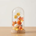 Pumpkin Patch Autumn Glass Dome with LED Fairy Lights and Wooden Base