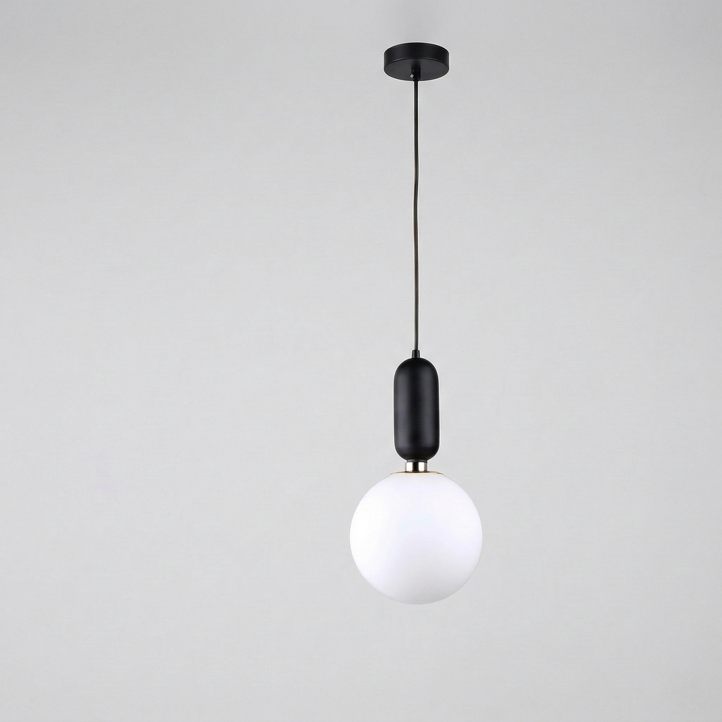 Nordic Black Globe Pendant Light