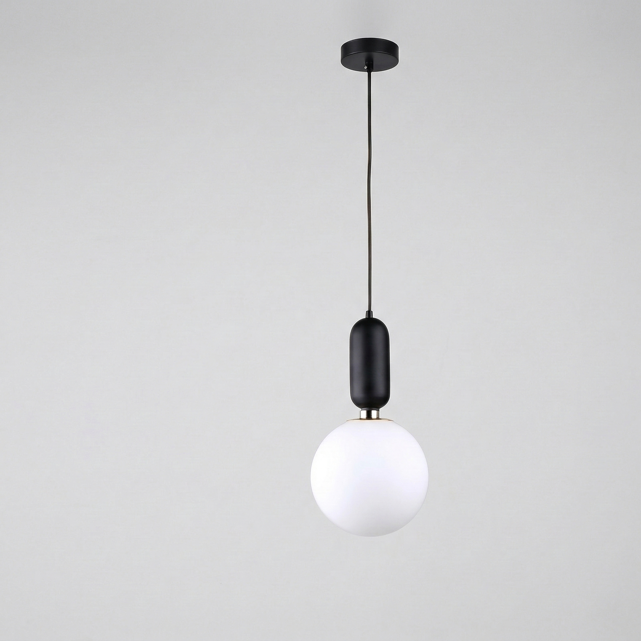 Nordic Black Globe Pendant Light