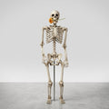 Poseable Halloween Skeleton Figure, Indoor & Outdoor Decor — Skeleton