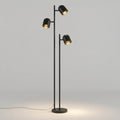 Twin-Spot Black & Gold Floor Lamp — black