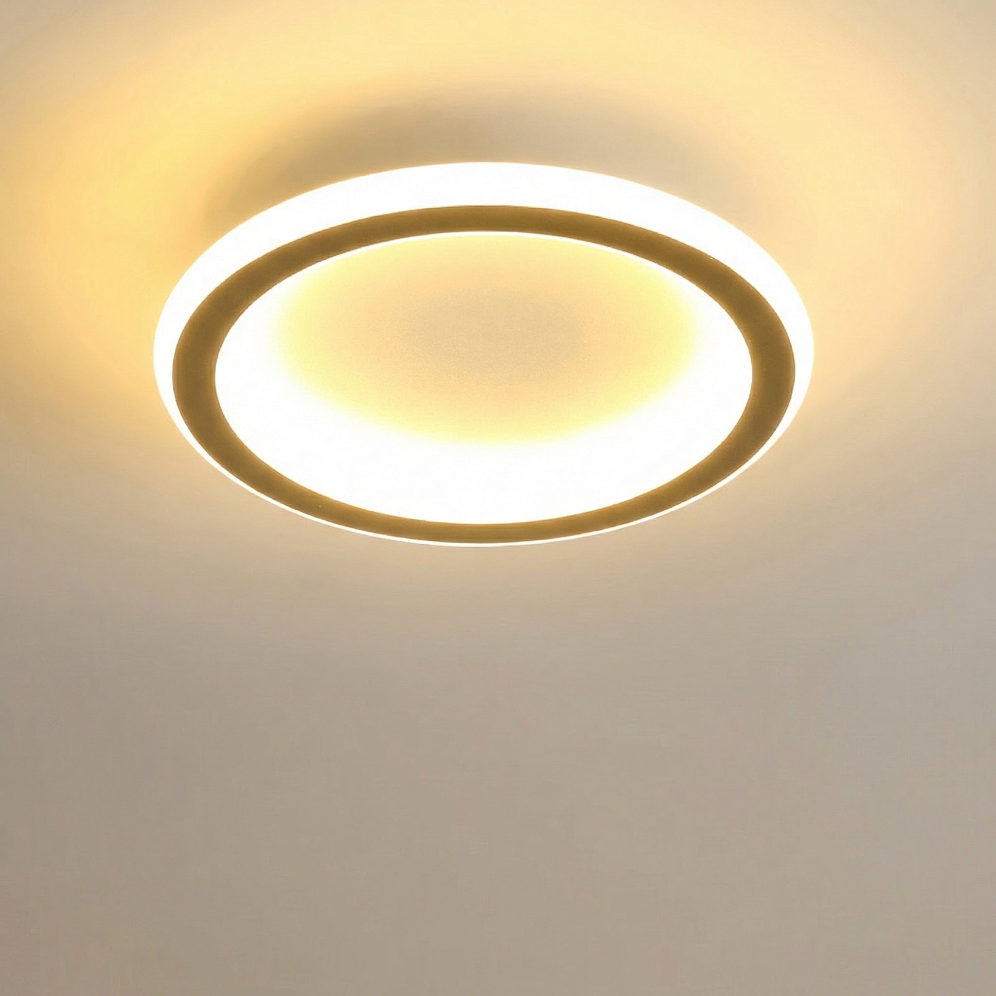 Modern Minimalist Flush Mount Lamp