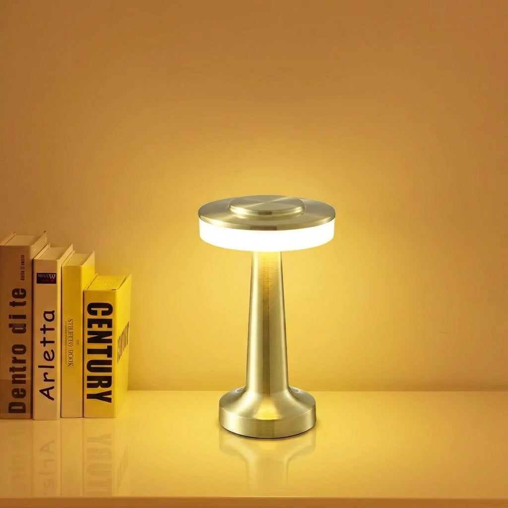 Touch-Control Rechargeable LED Table Lamp with Metal Body
