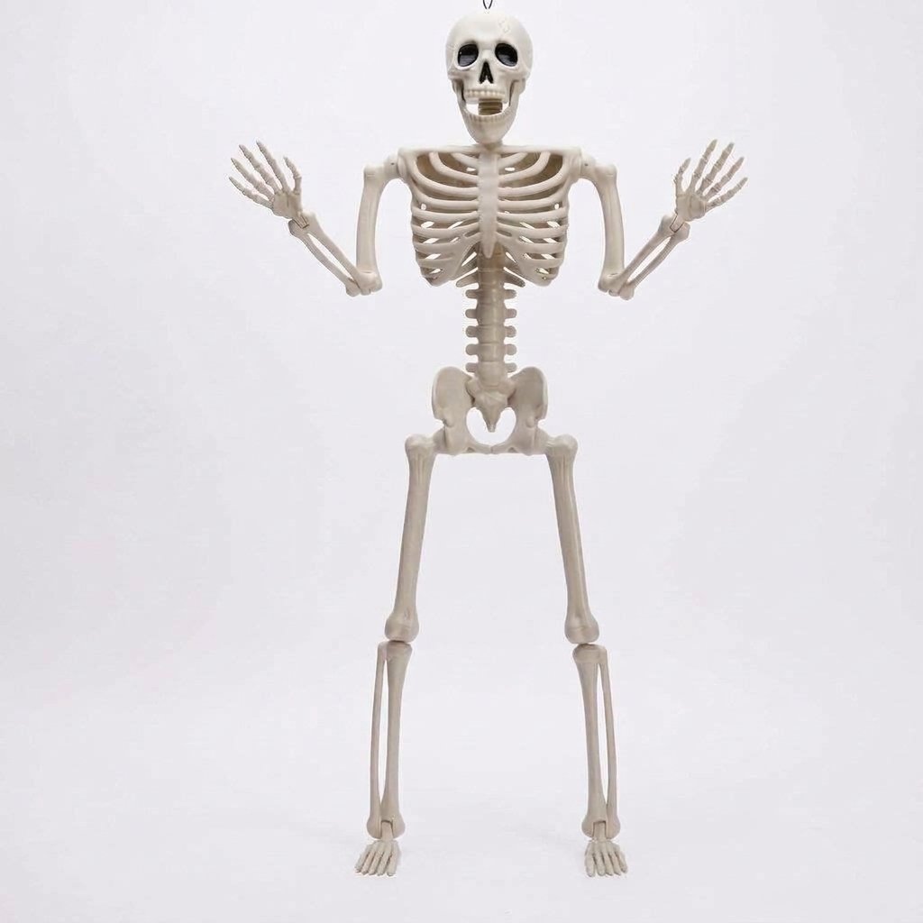 Posable Halloween Skeleton Decoration with Movable Joints and Hanging Design — 35 inch