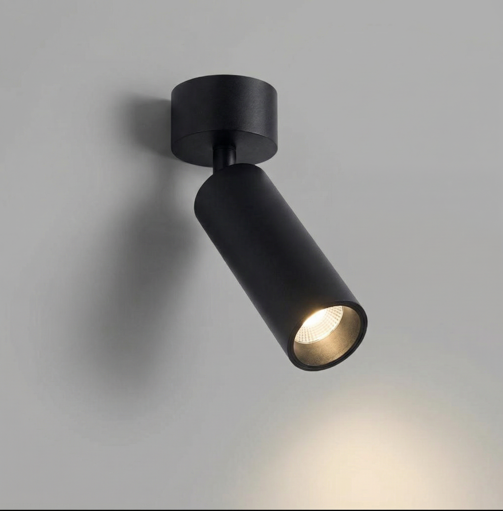 Arclume Adjustable LED Ceiling Spotlight