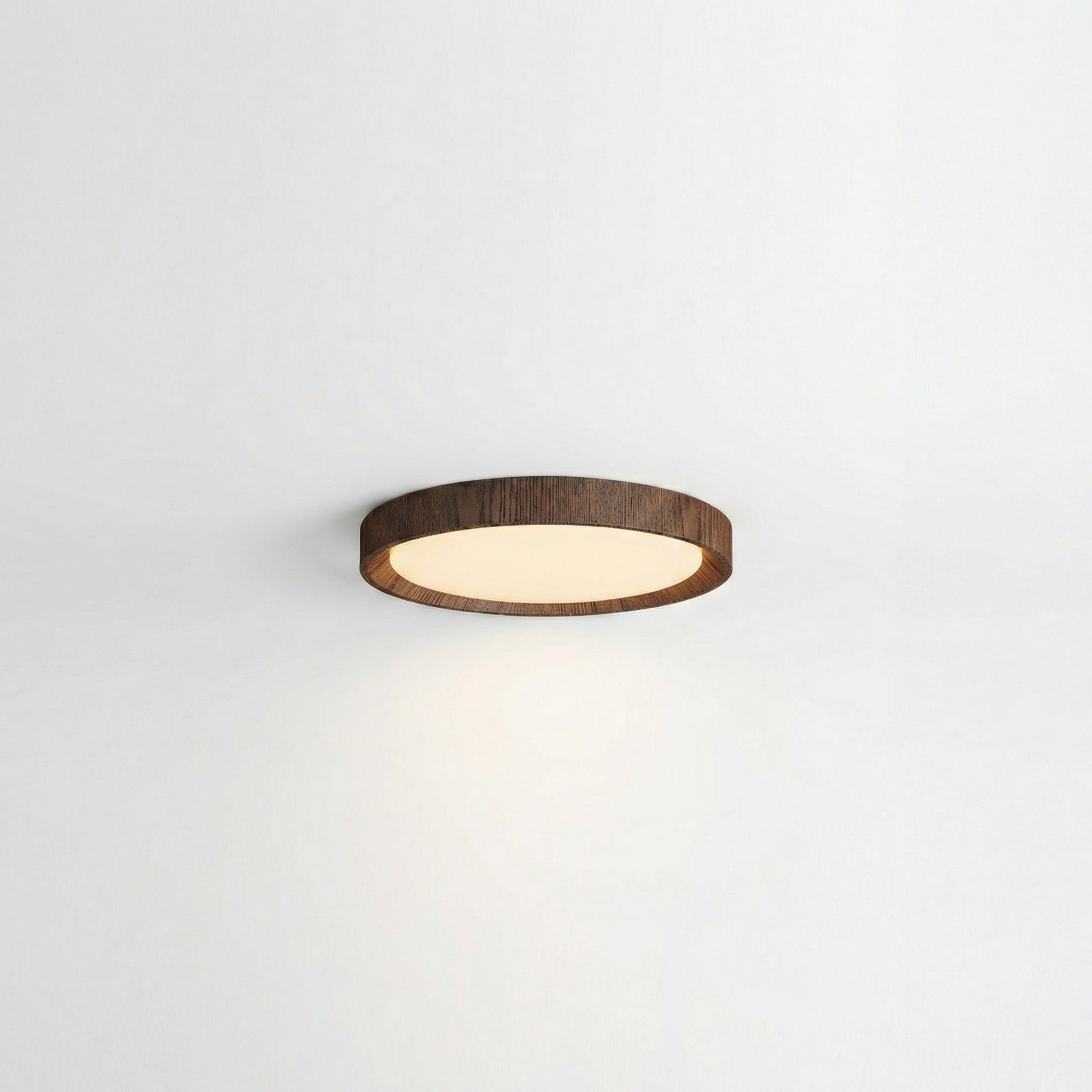 Minimalist Round Wood Trim LED Ceiling Light