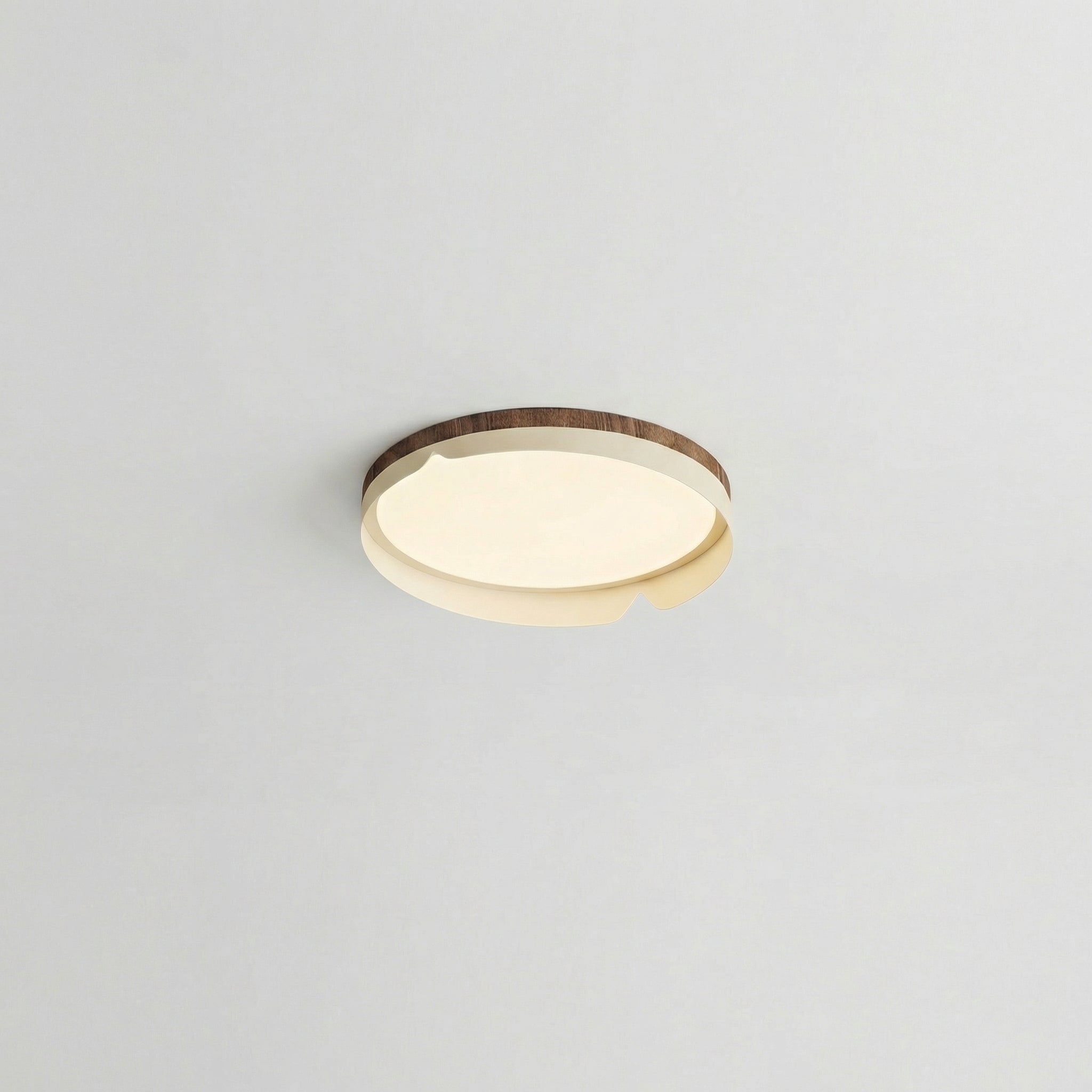 Modern Flush Mount Lamp