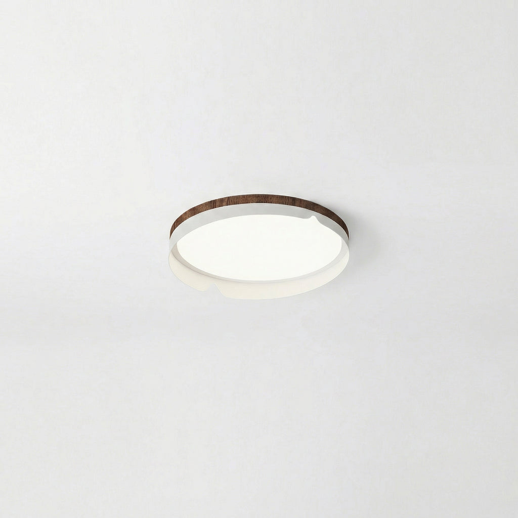Modern Flush Mount Lamp