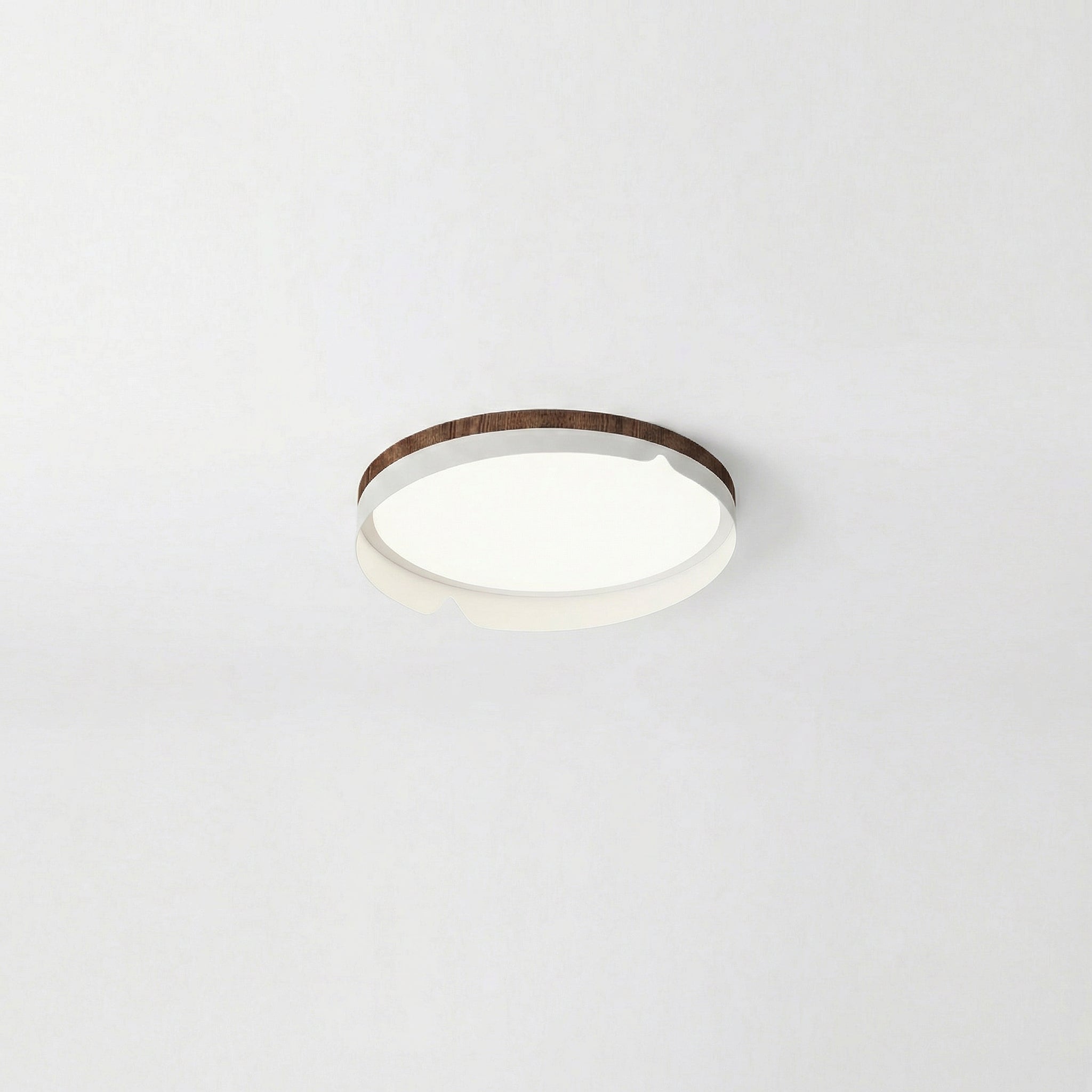 Modern Flush Mount Lamp