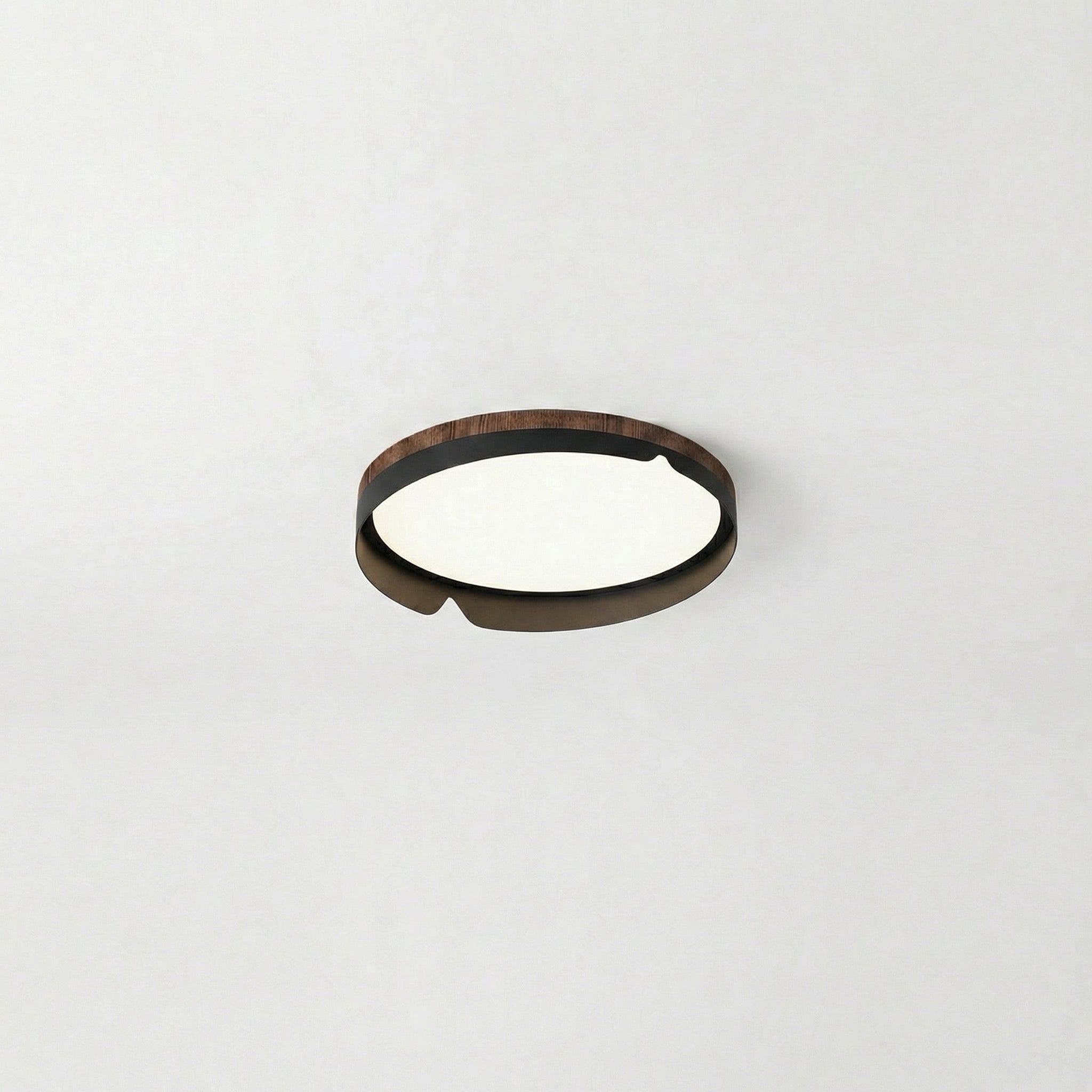 Modern Flush Mount Lamp