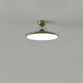 Modern Green Suspension Ceiling Light 40CM