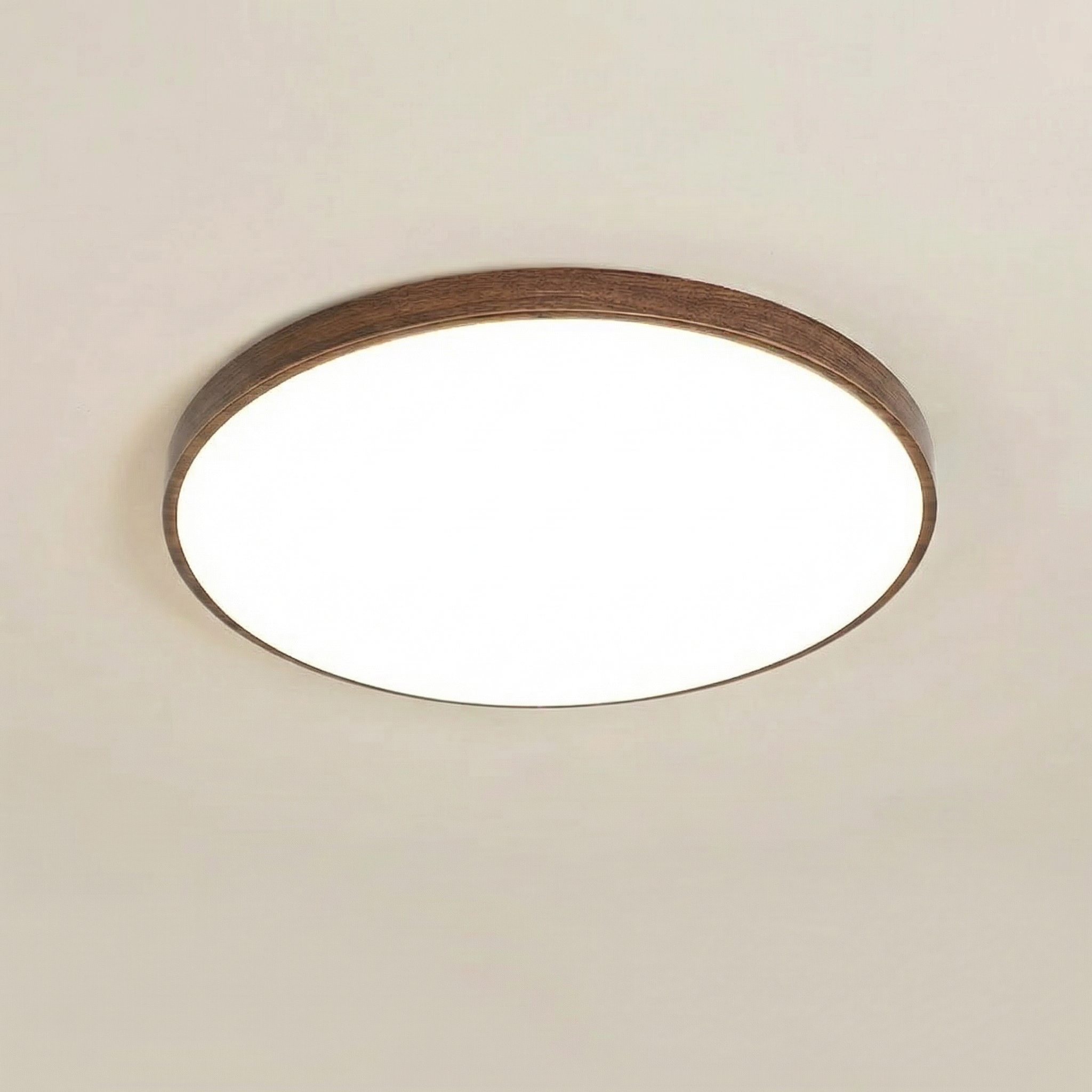 40CM Round LED Ceiling Light
