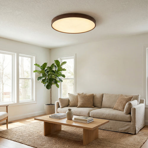 40CM Round LED Ceiling Light