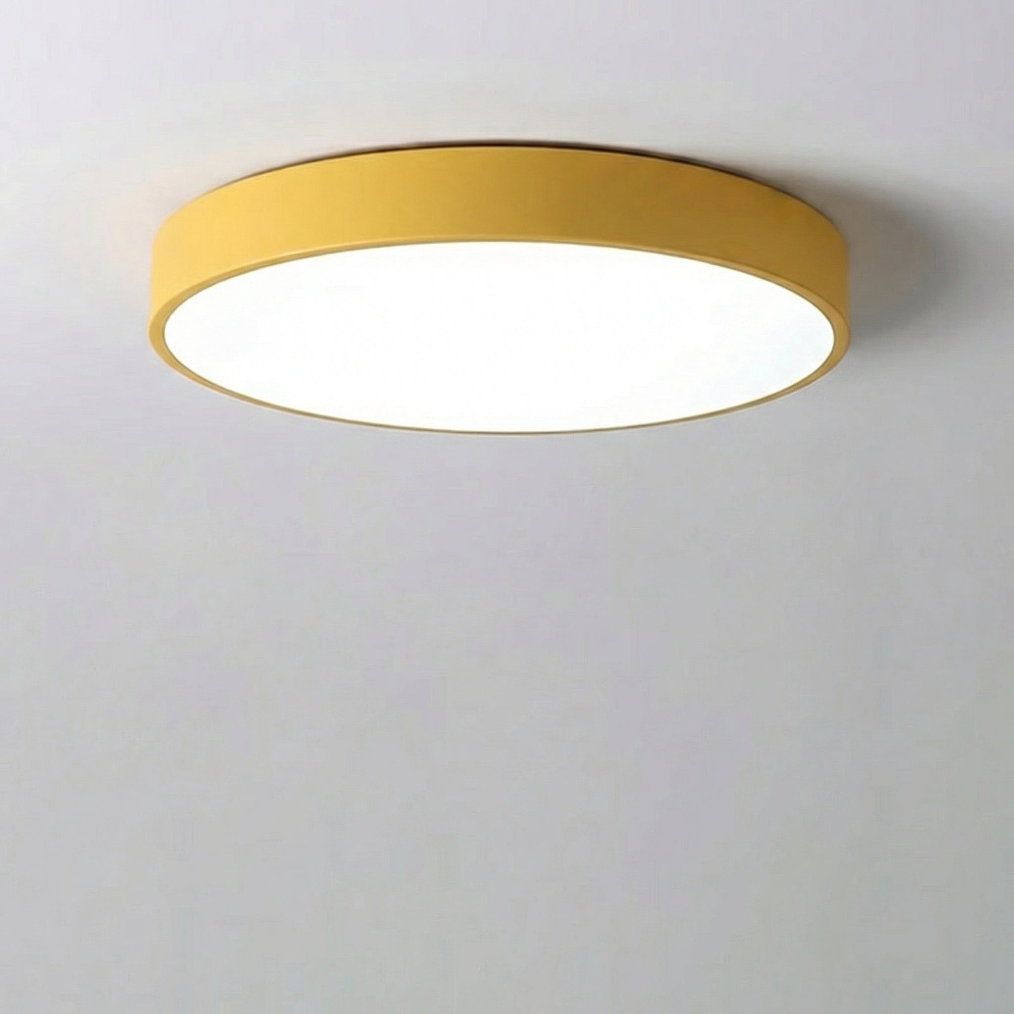 Modern Minimalist LED Ceiling Light 23CM