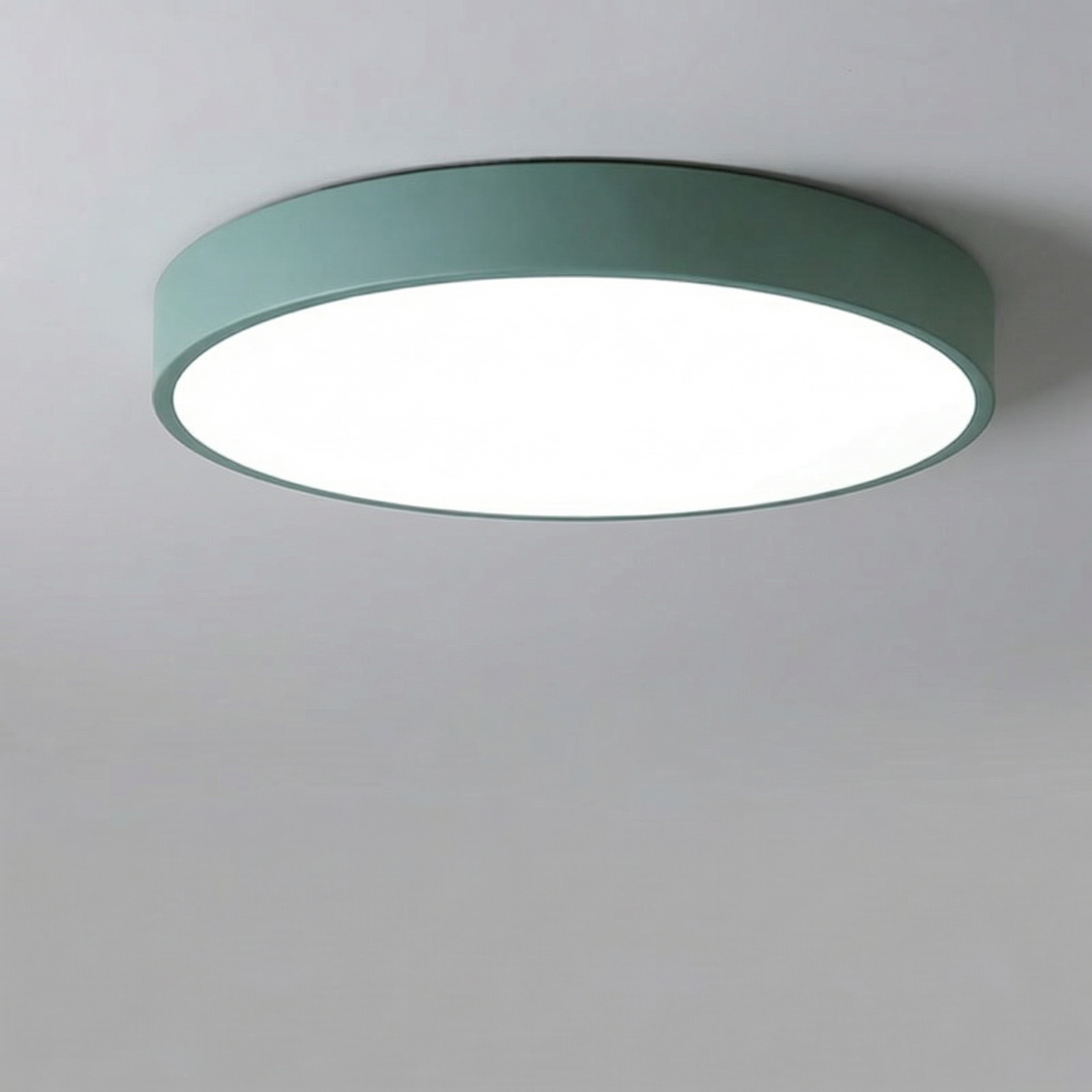 Modern Minimalist LED Ceiling Light 23CM