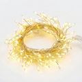 LED String Lights with Remote Control