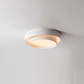Nordic Modern LED Ceiling Light